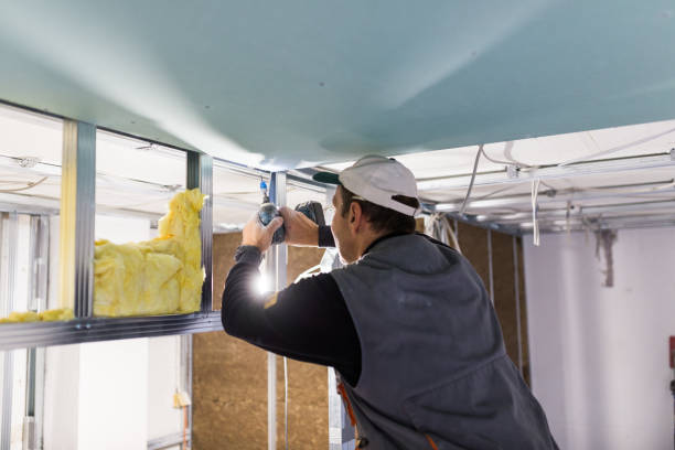 Best Blown-in Insulation in Kirkwood, MO