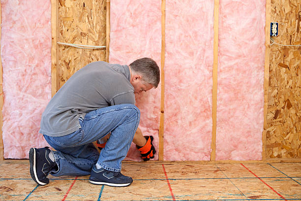 Best Insulation Maintenance and Repair in Kirkwood, MO